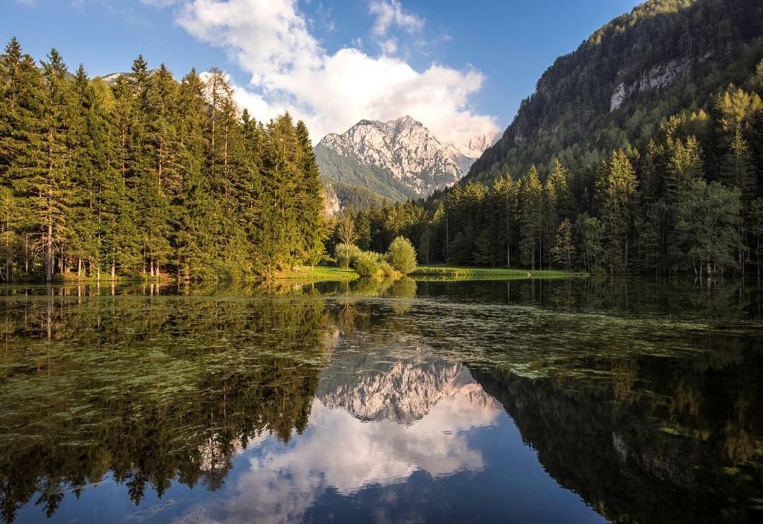 Boutique Hotel Vila Planinka Zgornje Jezersko Eksteriør bilde
