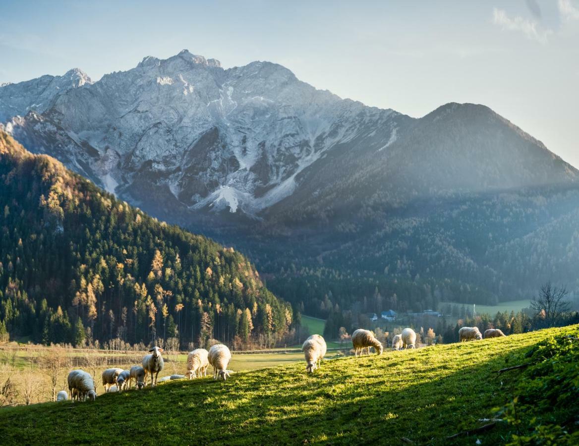 Boutique Hotel Vila Planinka Zgornje Jezersko Eksteriør bilde