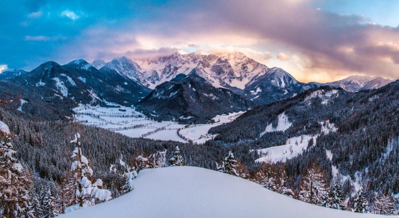 Boutique Hotel Vila Planinka Zgornje Jezersko Eksteriør bilde